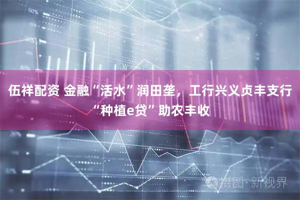 伍祥配资 金融“活水”润田垄，工行兴义贞丰支行“种植e贷”助农丰收