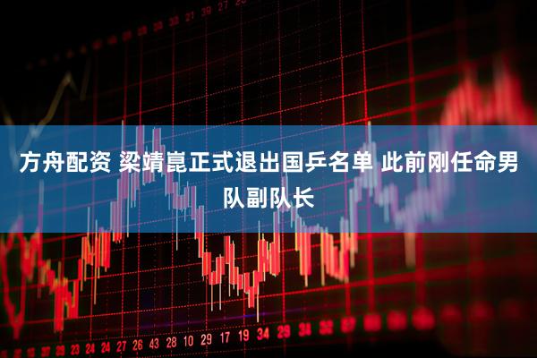 方舟配资 梁靖崑正式退出国乒名单 此前刚任命男队副队长