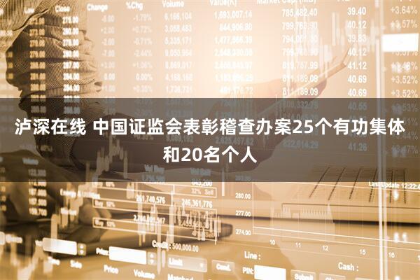 泸深在线 中国证监会表彰稽查办案25个有功集体和20名个人