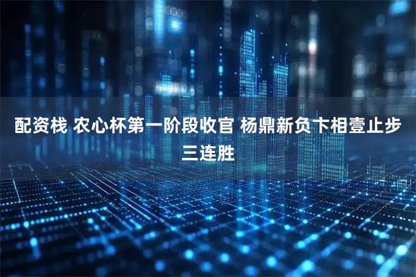 配资栈 农心杯第一阶段收官 杨鼎新负卞相壹止步三连胜