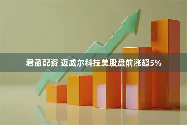 君盈配资 迈威尔科技美股盘前涨超5%