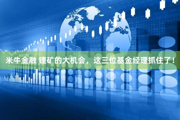 米牛金融 锂矿的大机会，这三位基金经理抓住了！