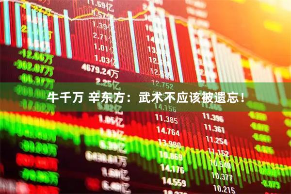 牛千万 辛东方：武术不应该被遗忘！