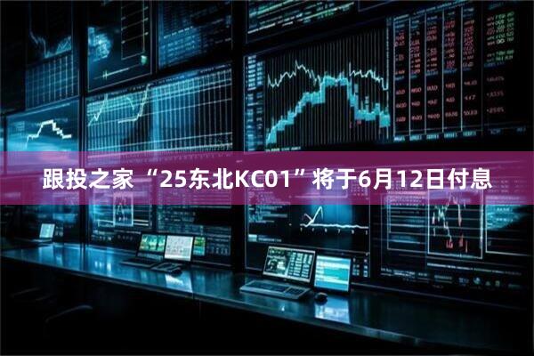 跟投之家 “25东北KC01”将于6月12日付息