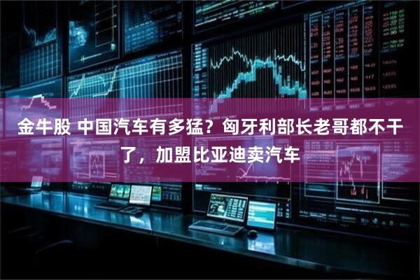 金牛股 中国汽车有多猛？匈牙利部长老哥都不干了，加盟比亚迪卖汽车