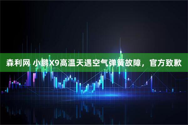 森利网 小鹏X9高温天遇空气弹簧故障，官方致歉